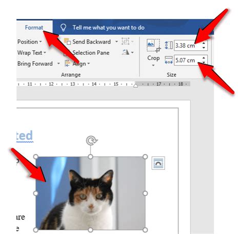 How to Resize an Image 2×2 in Word: A Step.